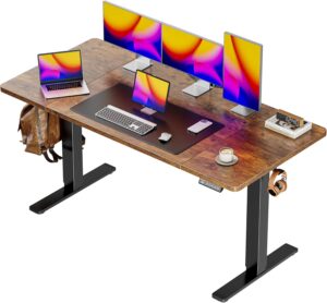 FLEXISPOT Electric Standing Desk