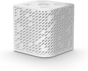 Smart Speaker or Voice Assistant