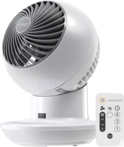 Woozoo Globe Fan